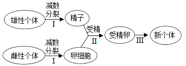 菁優(yōu)網