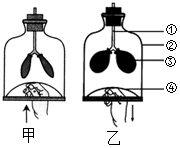 菁優(yōu)網(wǎng)