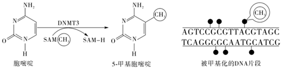 菁優(yōu)網