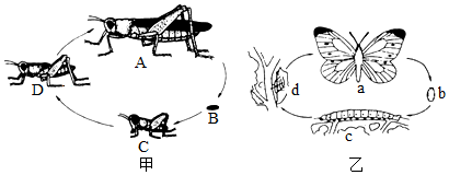 菁優(yōu)網(wǎng)