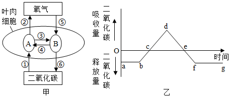 菁優(yōu)網(wǎng)