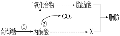 菁優(yōu)網(wǎng)