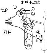 菁優(yōu)網(wǎng)