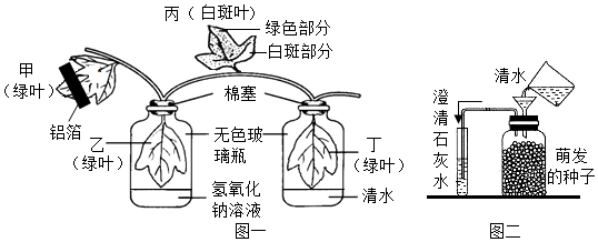 菁優(yōu)網(wǎng)