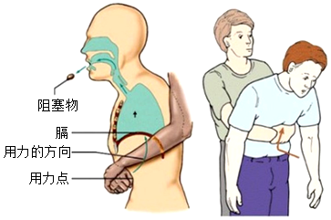 菁優(yōu)網