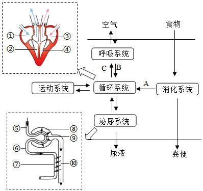 菁優(yōu)網