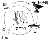 菁優(yōu)網(wǎng)