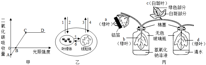 菁優(yōu)網(wǎng)