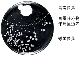 菁優(yōu)網