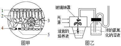 菁優(yōu)網(wǎng)