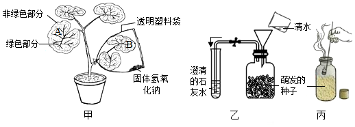 菁優(yōu)網(wǎng)