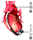 菁優(yōu)網