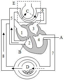 菁優(yōu)網(wǎng)