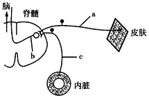 菁優(yōu)網(wǎng)