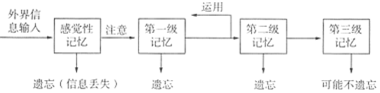 菁優(yōu)網