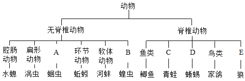 菁優(yōu)網(wǎng)