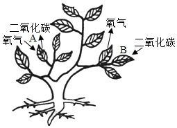 菁優(yōu)網(wǎng)