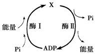 菁優(yōu)網(wǎng)