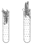 菁優(yōu)網