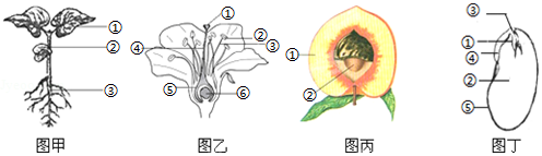 菁優(yōu)網(wǎng)