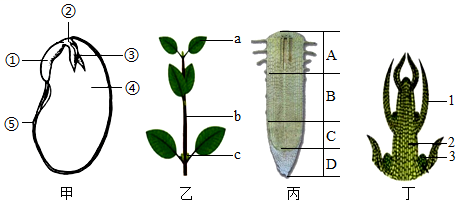 菁優(yōu)網(wǎng)