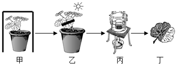 菁優(yōu)網(wǎng)