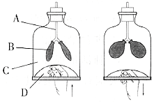 菁優(yōu)網(wǎng)