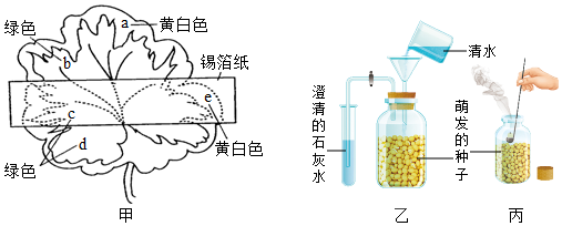 菁優(yōu)網(wǎng)