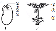 菁優(yōu)網(wǎng)