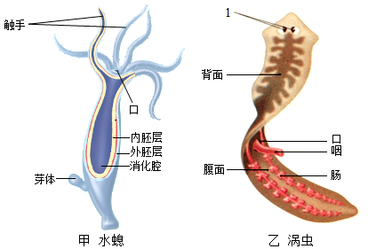 菁優(yōu)網(wǎng)