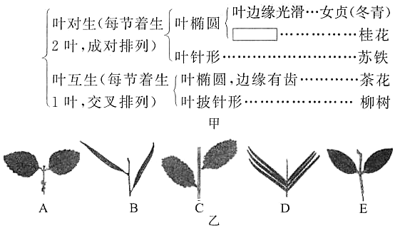 菁優(yōu)網(wǎng)