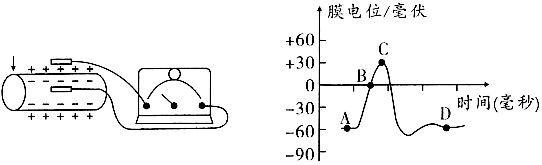 菁優(yōu)網(wǎng)