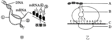 菁優(yōu)網