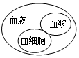 菁優(yōu)網