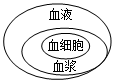 菁優(yōu)網