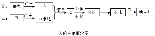 菁優(yōu)網