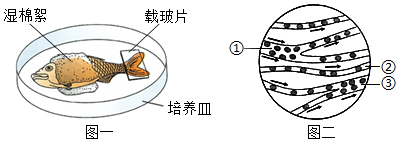 菁優(yōu)網