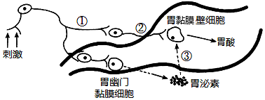 菁優(yōu)網(wǎng)