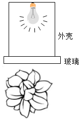 菁優(yōu)網