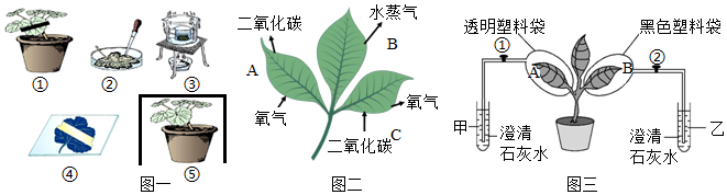 菁優(yōu)網