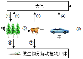 菁優(yōu)網(wǎng)