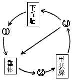 菁優(yōu)網(wǎng)