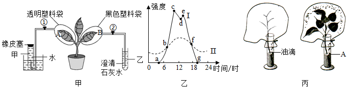 菁優(yōu)網(wǎng)