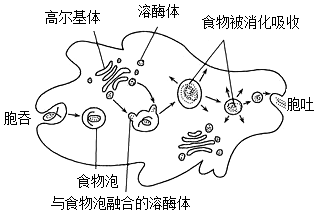 菁優(yōu)網(wǎng)