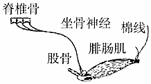 菁優(yōu)網(wǎng)