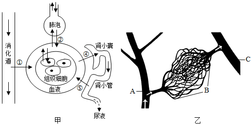 菁優(yōu)網(wǎng)