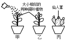 菁優(yōu)網(wǎng)