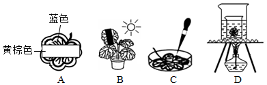 菁優(yōu)網(wǎng)