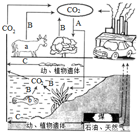 菁優(yōu)網(wǎng)