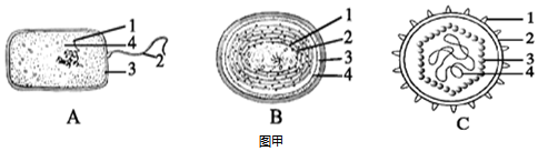 菁優(yōu)網(wǎng)